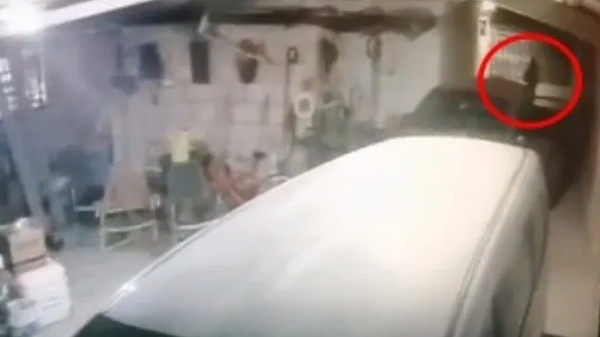 ¿Nahual o animago? Cámaras captan a criatura transformándose en humano