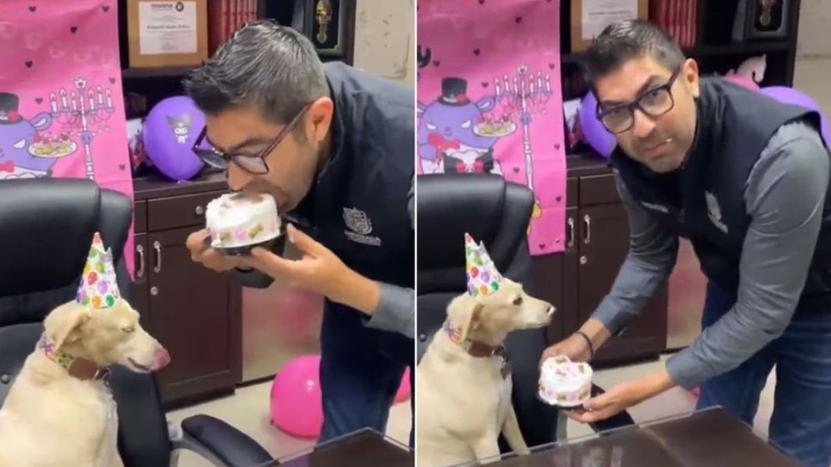 ¡Qué buen postre! Alcalde se graba comiendo pastel para perro y se hace viral