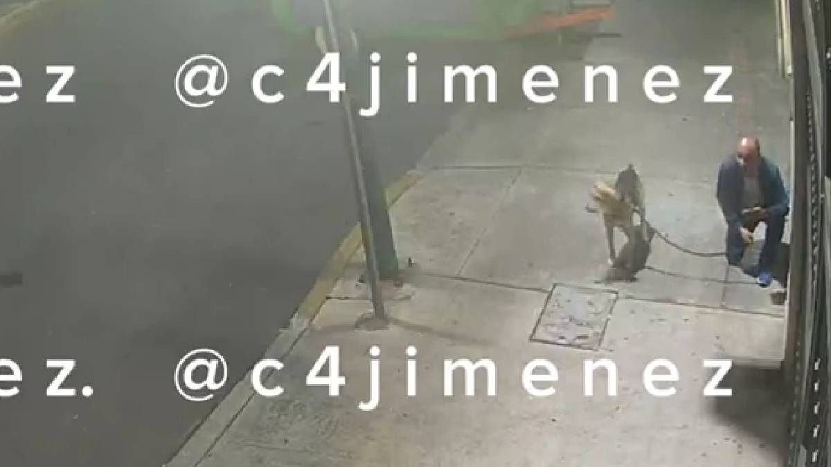VIDEO Cámara capta cuando perrito y su dueño quedan aterrorizados en medio de balacera