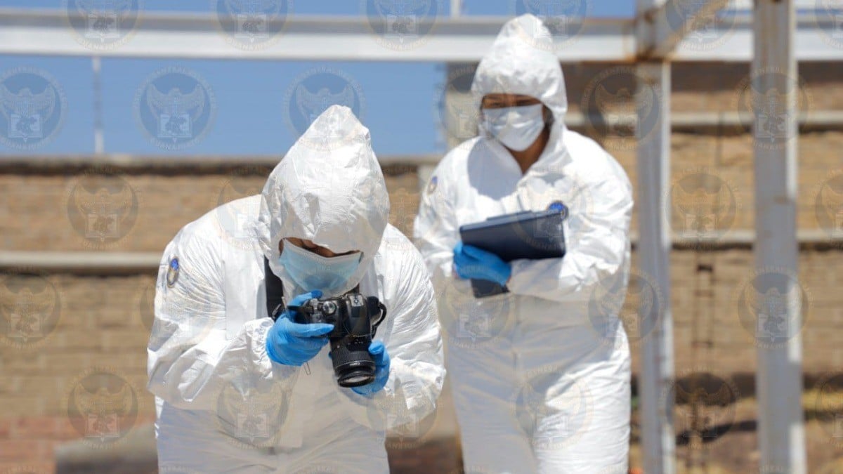 Sin flores ni veladoras: en León hay 699 cadáveres sin identificar