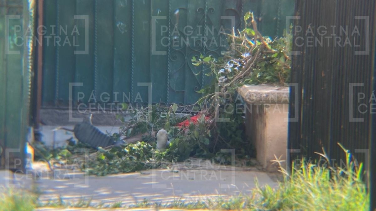 ¡Otra vez la Buenos Aires! Matan a joven de varios balazos en León