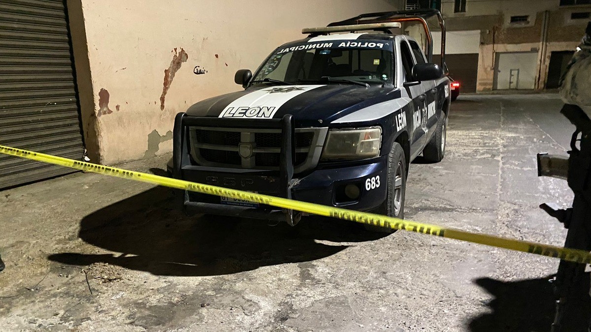 Impulsan diputados del PVEM autonomía a los servicios periciales en materia penal