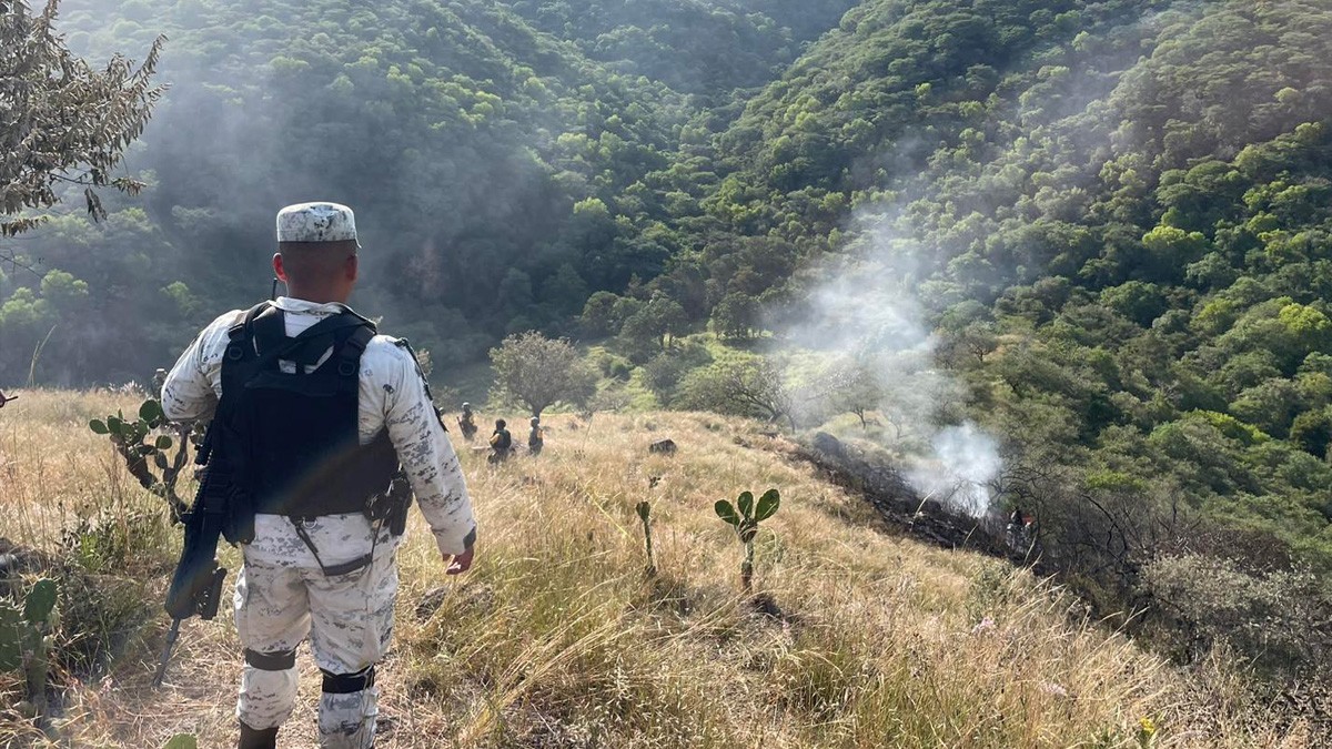 Avioneta ambulancia se estrella cuando transportaba a paciente; hay 4 muertos