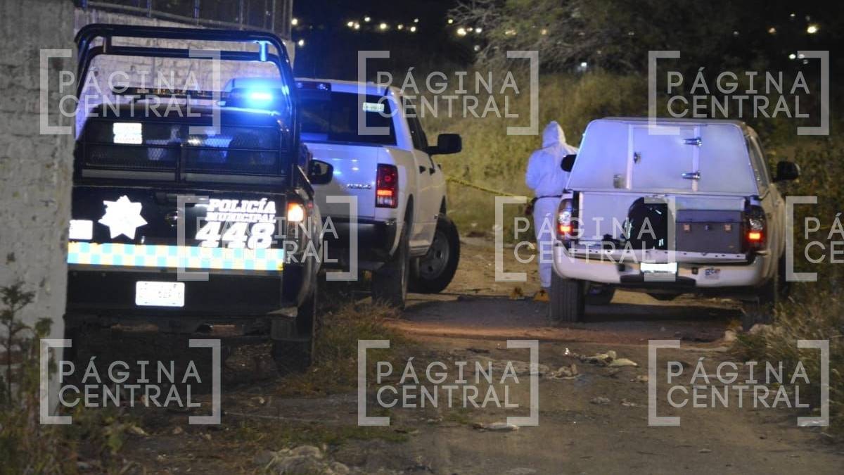 Encuentran cuerpos embolsados en colonia Ángeles y Medina