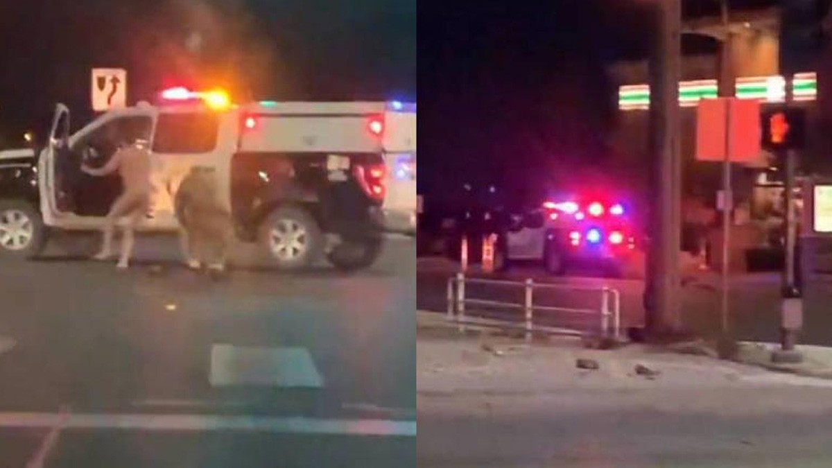 VIDEO: Celebra Halloween sin ropa y al intentarlo detener la policía, les roba la patrulla