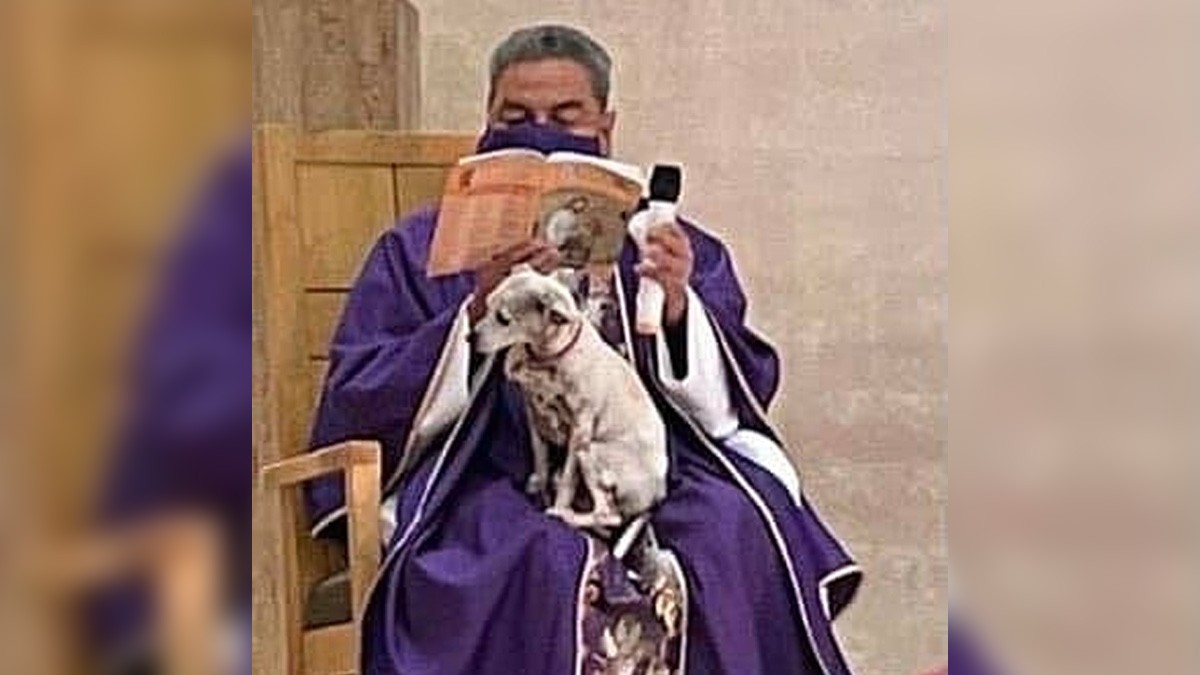 ¿Crees que sea correcto? Sacerdote tiene perrito enfermo y se lo lleva a dar misa