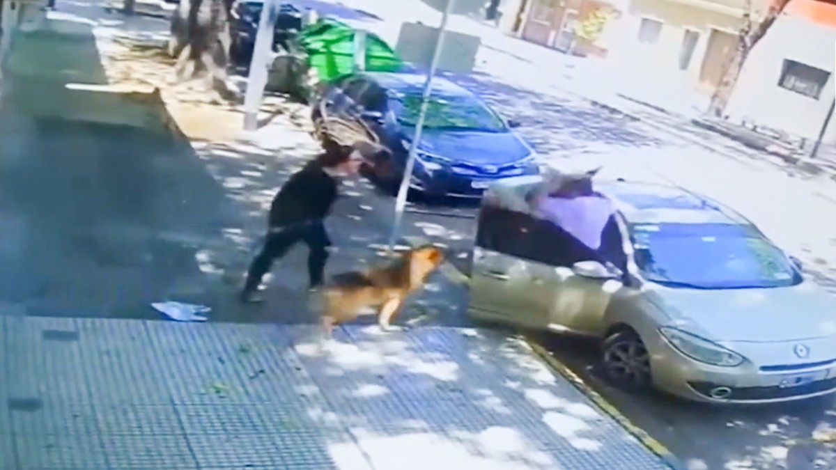 VIDEO: Mujer le da paliza a un abuelito que le pidió que recogiera las heces de su perro