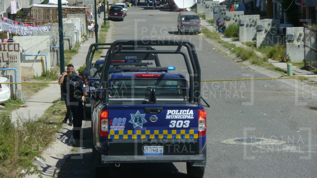 Macabro hallazgo: perro comía órganos humanos en Brisas del Campestre