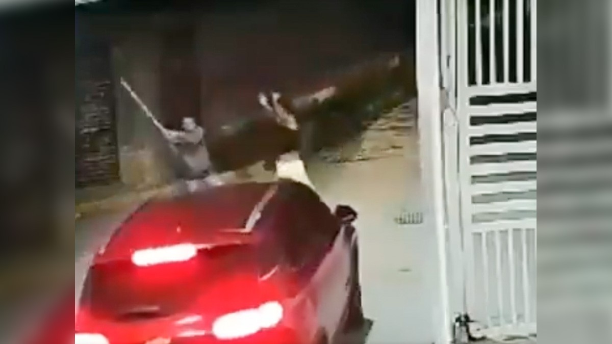 VIDEO: Captan a policía golpeando con un palo a su esposa en la calle y no lo han despedido