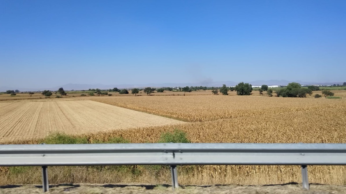 ¡Van mil millones para atender la sequía en Guanajuato!