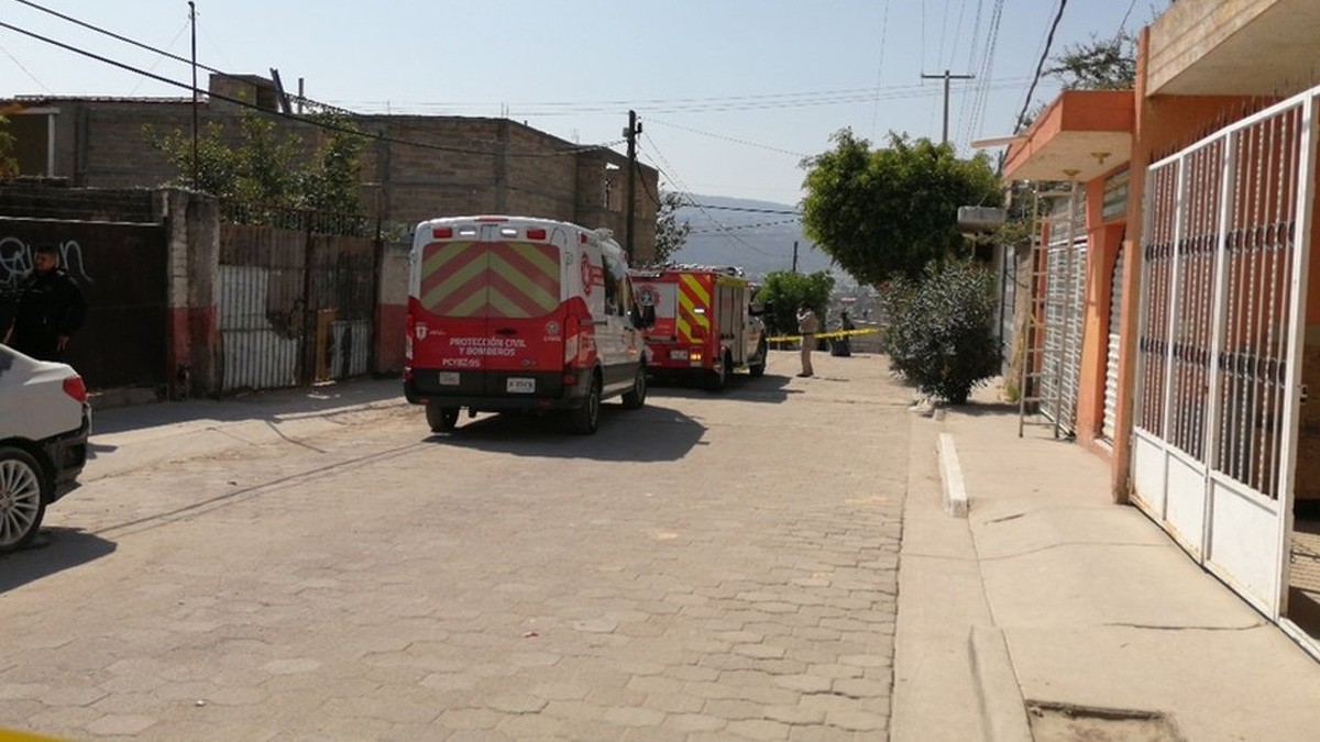 Perro paseaba con restos humanos en el hocico; es la segunda vez en esa colonia