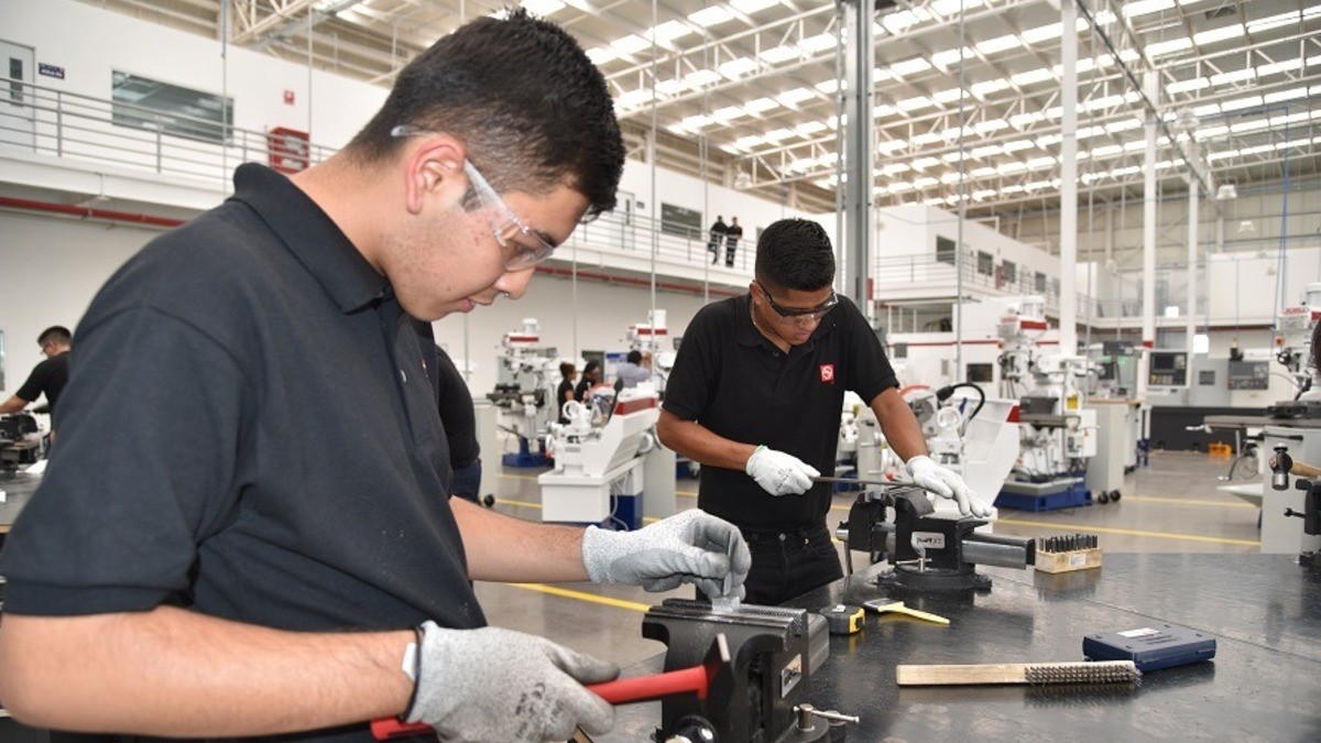 ¿Eres especialista y no cursaste la universidad?, esto te interesa