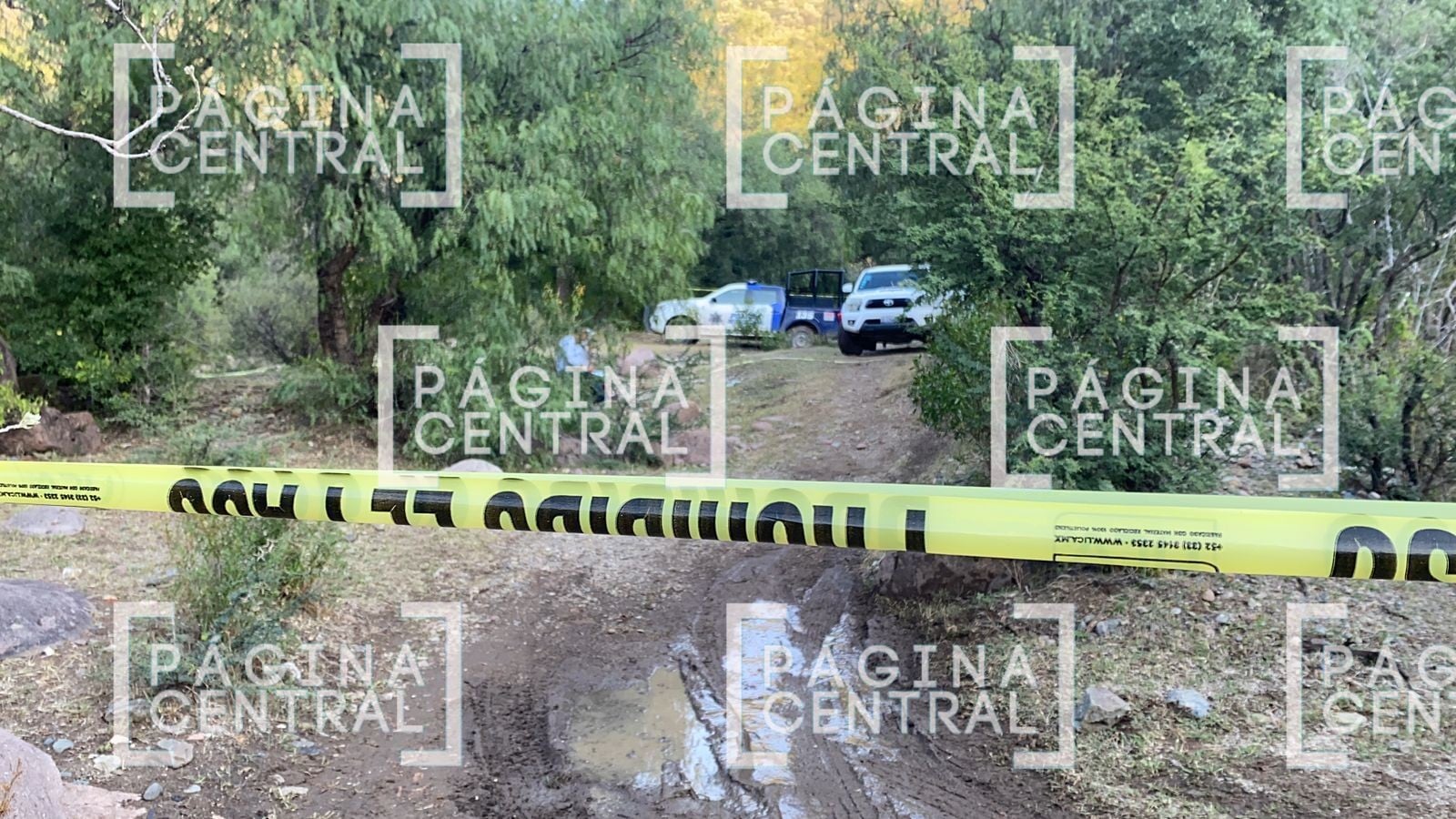 Lo matan de 4 balazos en la colonia Vista Aero en León