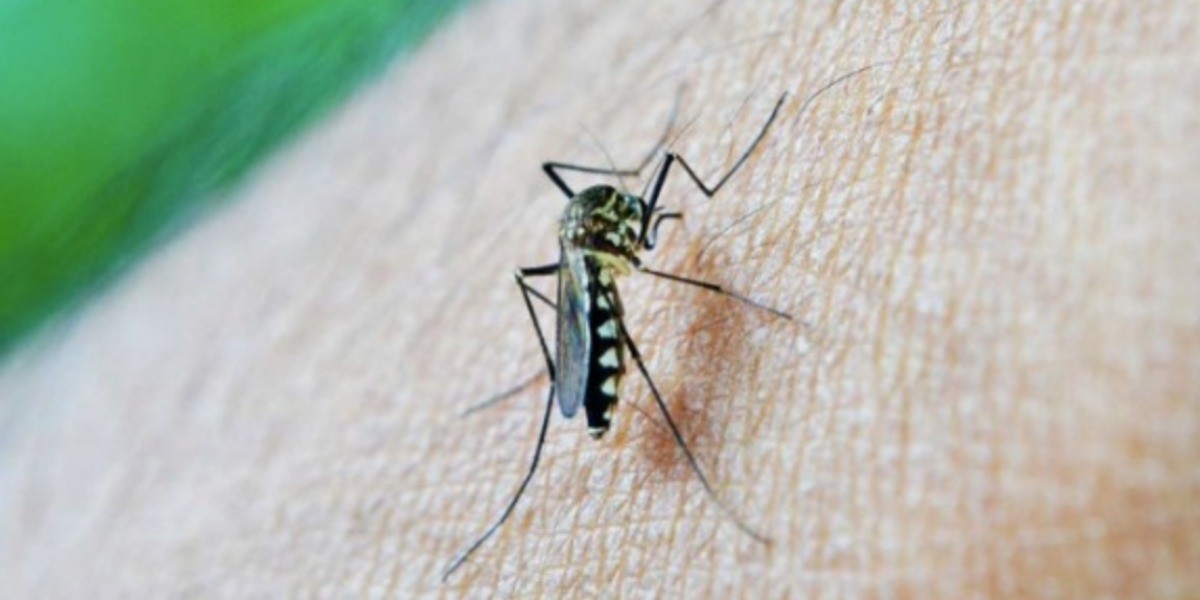 Muere niño de seis años a causa del dengue en la entidad