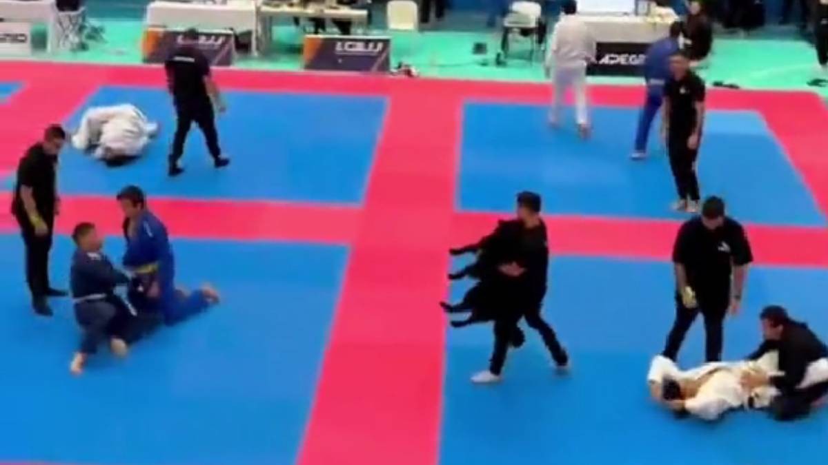 VIDEO Perrito interrumpe combate de artes marciales y gana por ternura