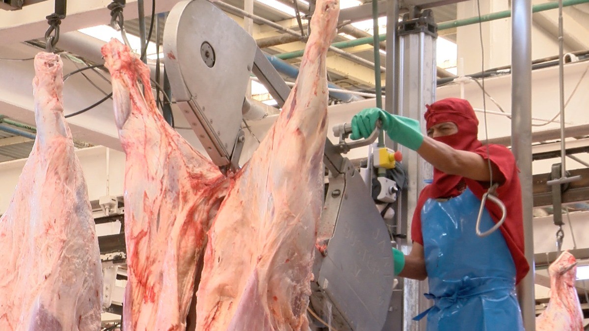 Advierten escasez de productos cárnicos a causa de la sequía en Guanajuato