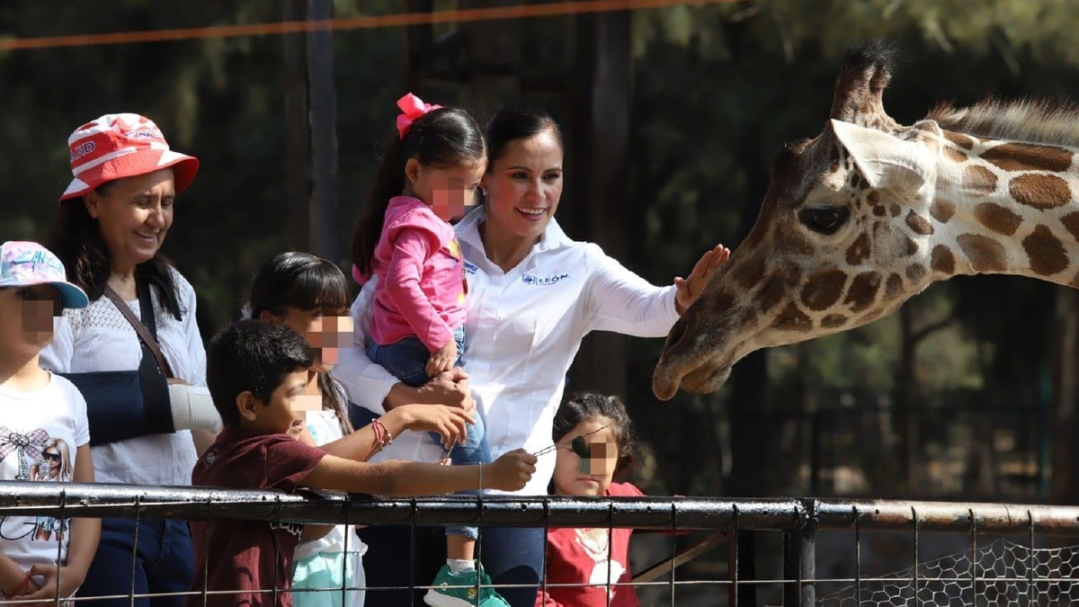 Zoológico de León pide casi un millón de pesos para liquidaciones; no da motivo de baja