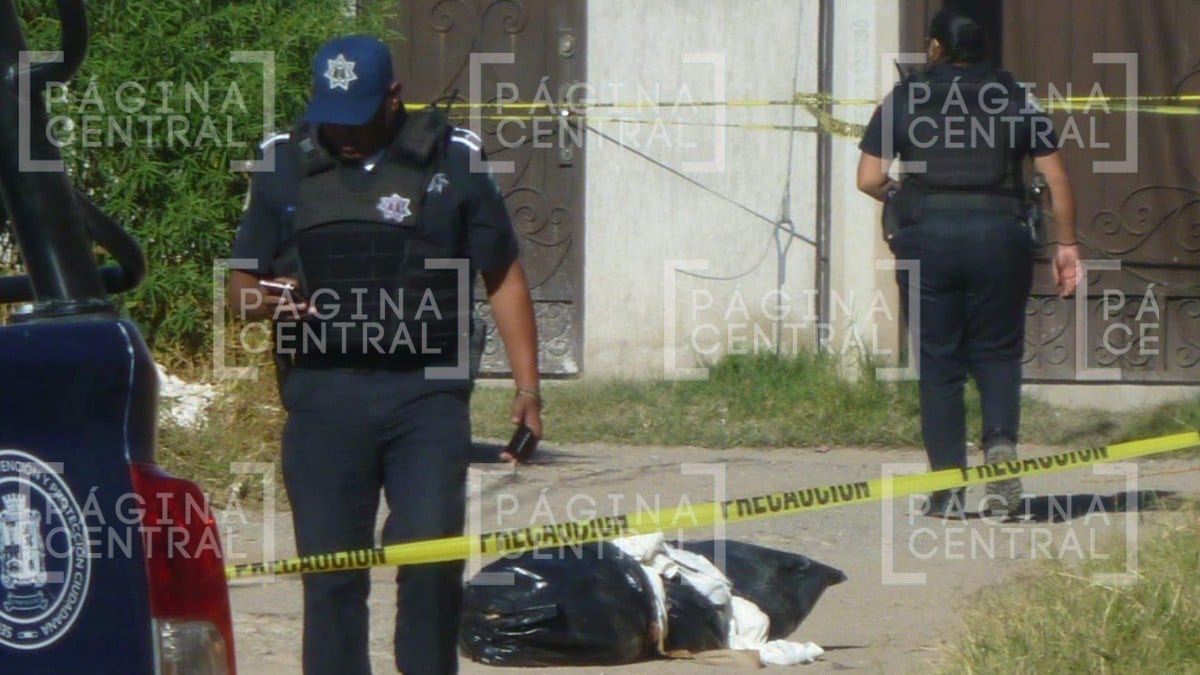 Encuentran restos humanos en bolsas de plástico en colonia de León