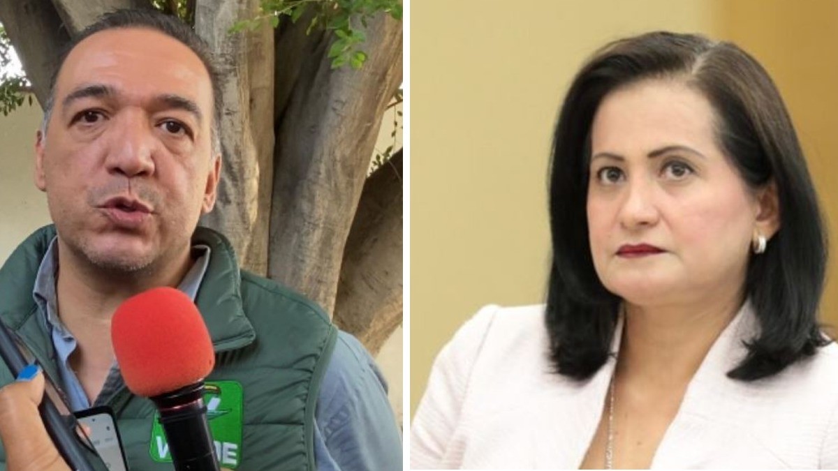 Alma Alcaraz no es una candidata de unión: PVEM