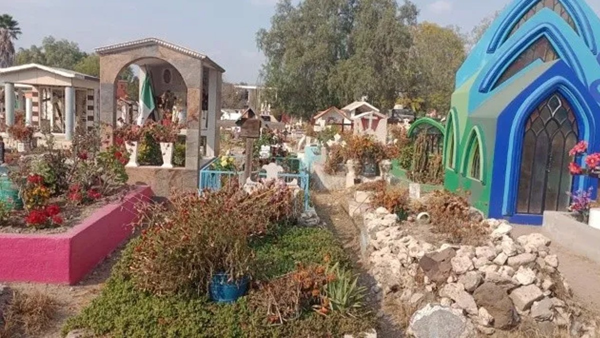 ¡Macabro! Perros descubren el cadáver de una bebé en un panteón