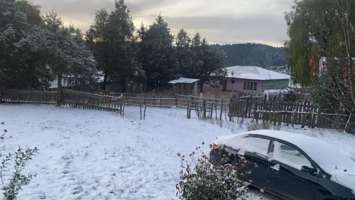 ¡El invierno ya está aquí! Cae primera nevada del año en la Sierra Tarahumara