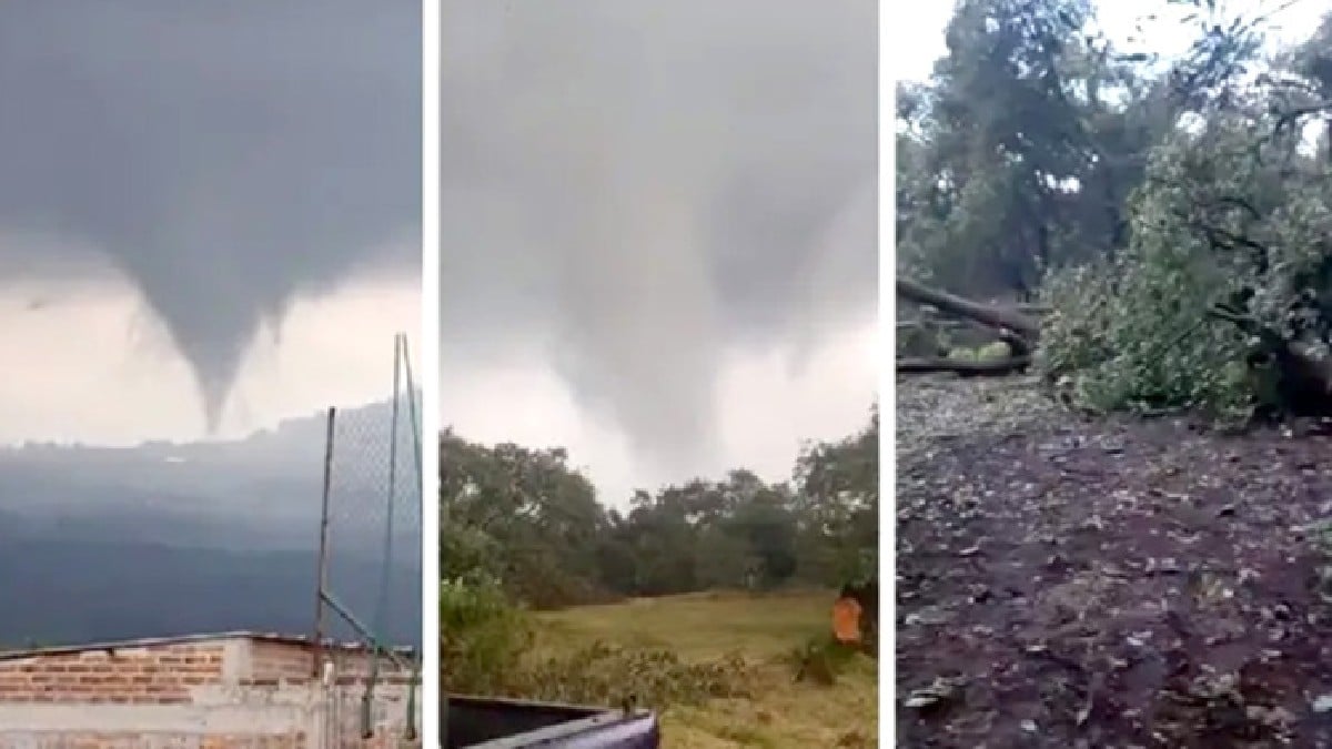VIDEO: Captan tornado mientras arranca árboles y causa destrozos en este municipio