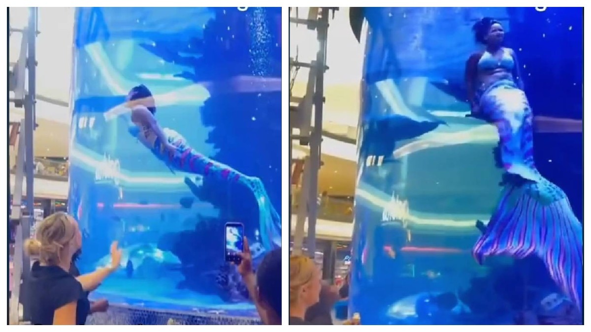 VIDEO ¿Le picó una raya? ‘Sirena’ entra en pánico en show en vivo en acuario