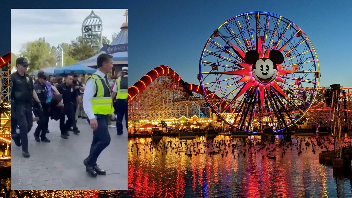 VIDEO ¡Muy campante! Pasea desnudo por Disney ante desconcierto de chicos y grandes