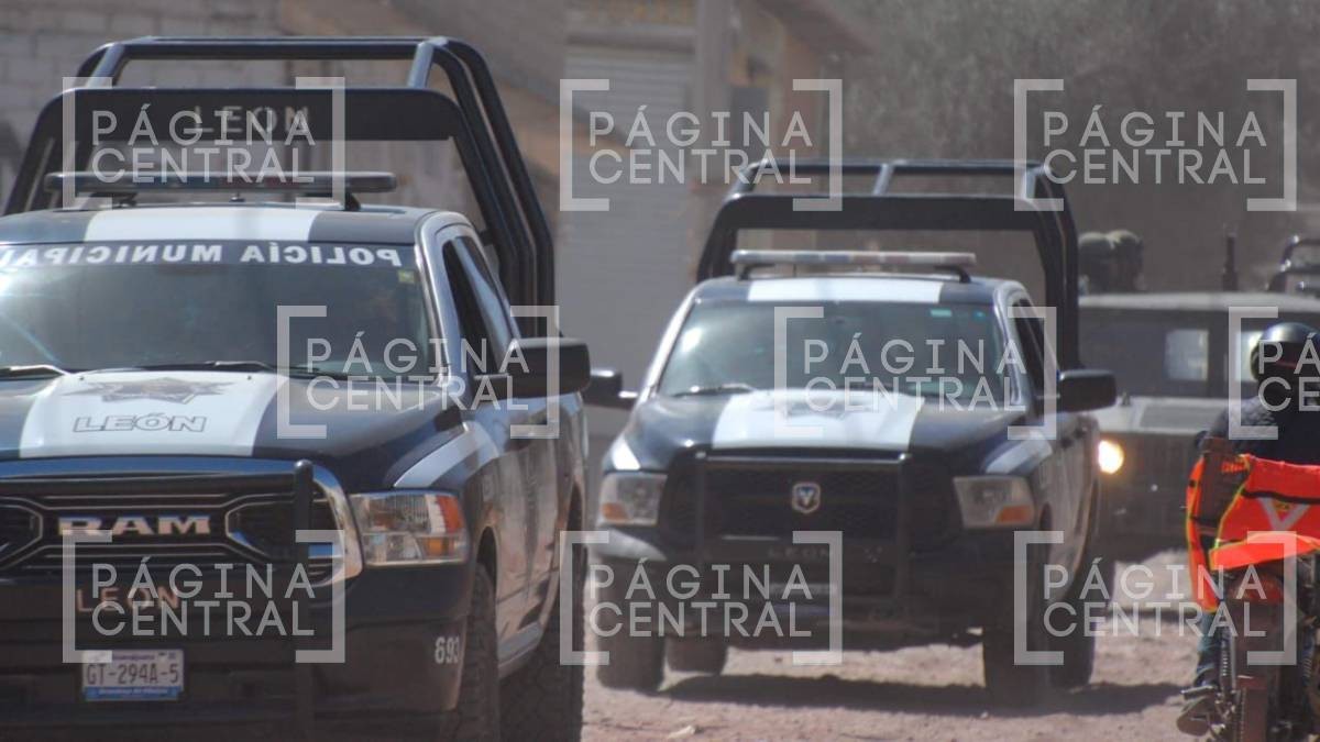 Localizan 6 cuerpos en fosa clandestina en Barranca de Venaderos