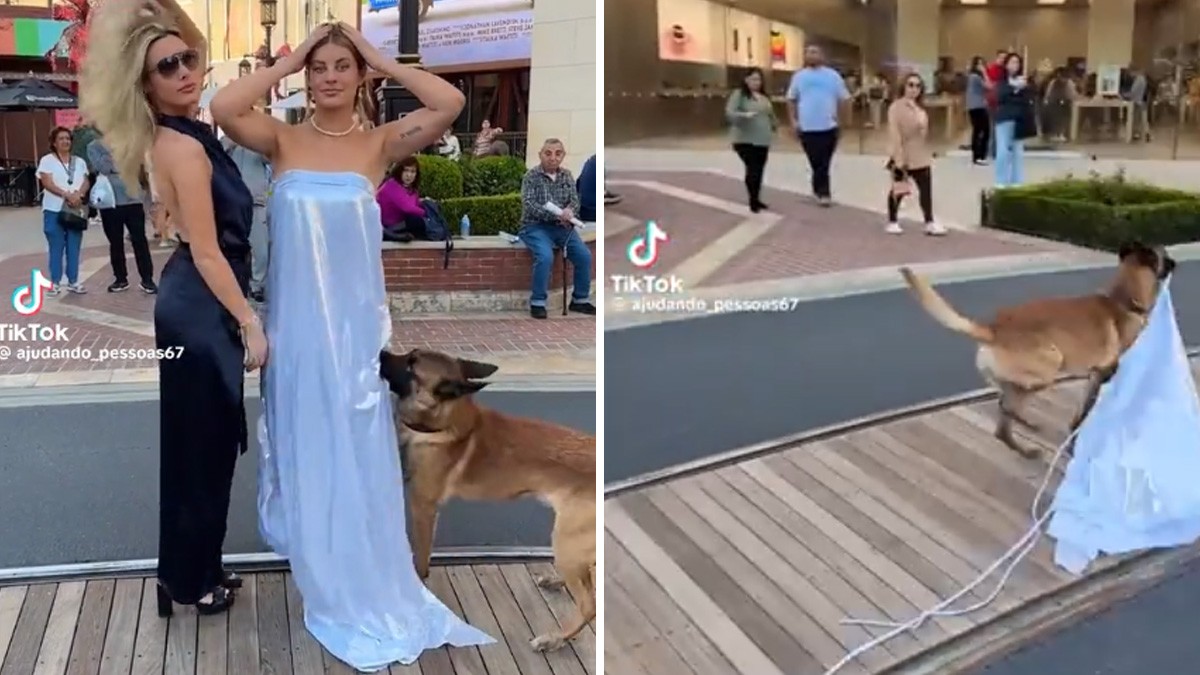 VIDEO: Perro le desprende el vestido a modelo en plena sesión en la calle