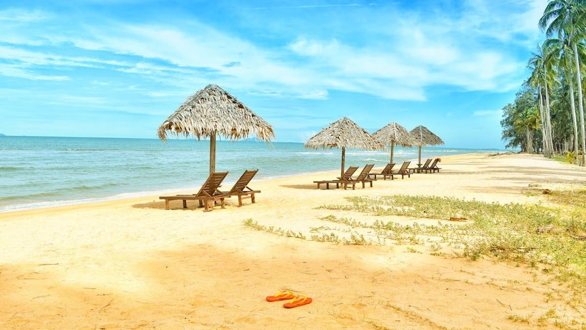 ¿Si no tomé vacaciones puedo exigir el pago de la prima vacacional? Te respondemos