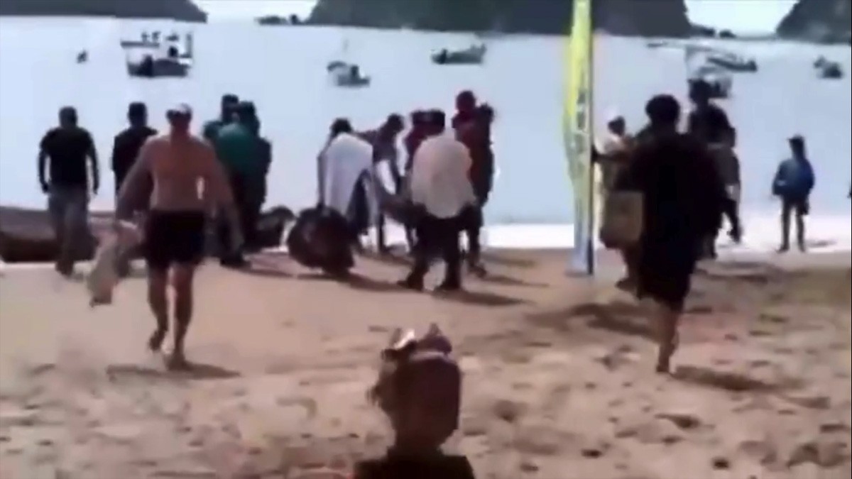 VIDEO: Captan momento en que rescatan a mujer atacada por tiburón