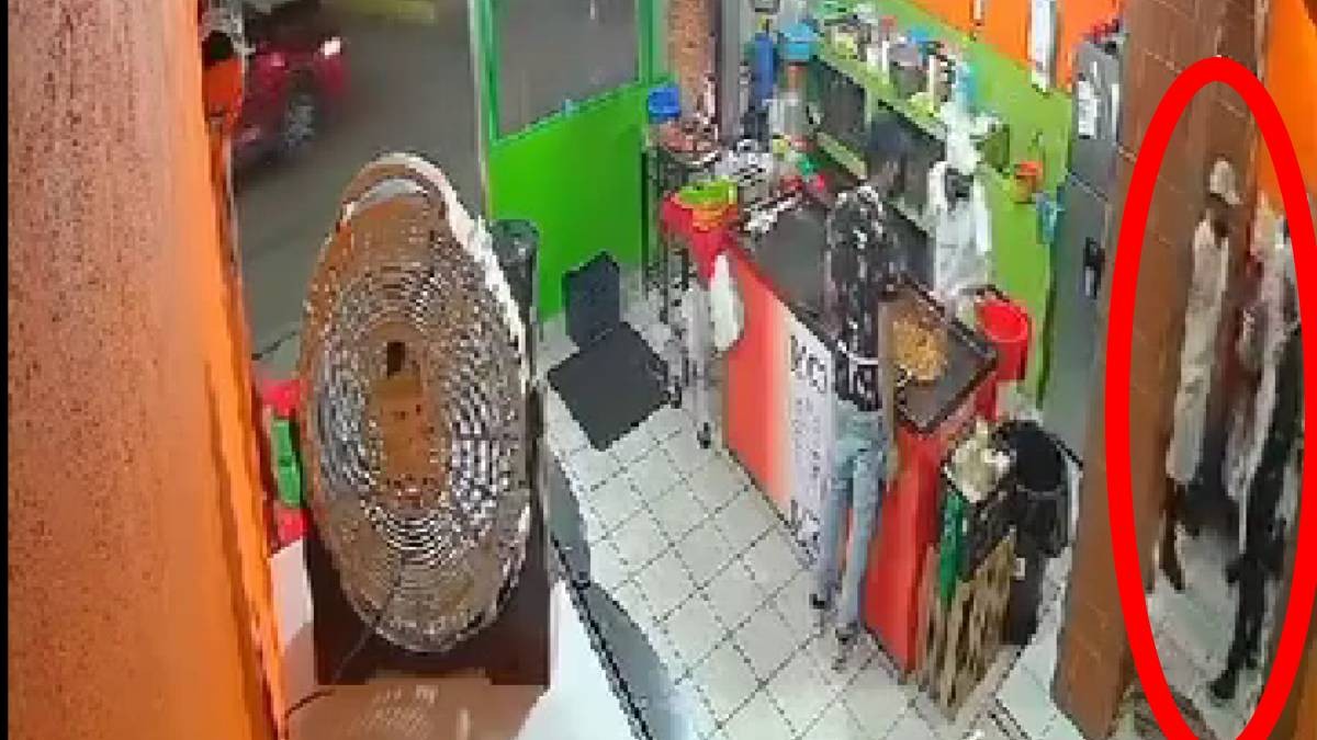 VIDEO Clientes comían tacos y de pronto un taquero acuchilla a su compañero