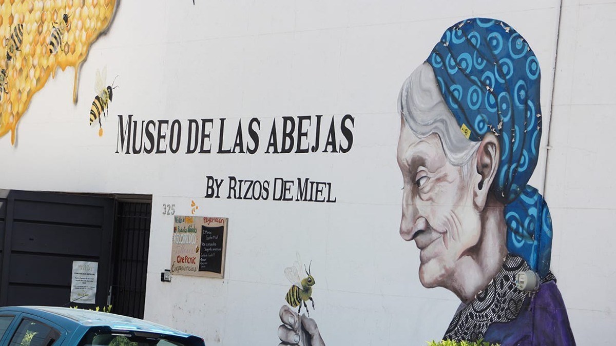 Museo de las Abejas en León, tributo a la grandeza de las abejas en el ecosistema