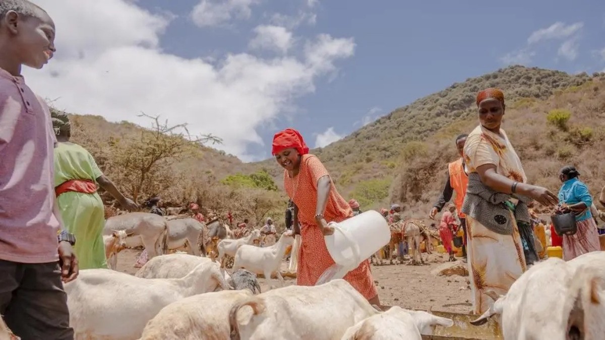 ¡Alerta mundial por brote de ántrax en África!; OMS teme que se expanda rápido