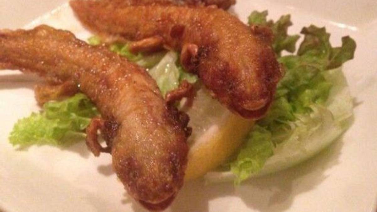 ¿Qué? ¿Ajolotes fritos? Fotografías de platillo indigna a internautas