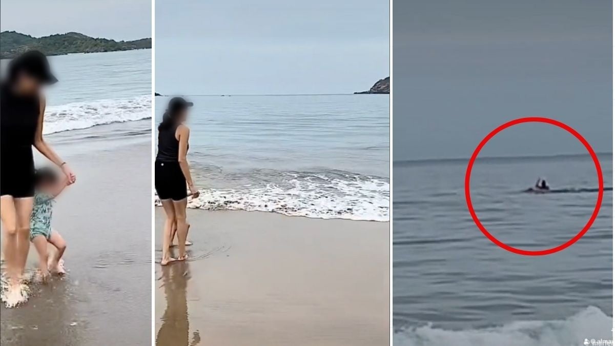 VIDEO Captan momento del ataque de un presunto tiburón en el que murió un turista