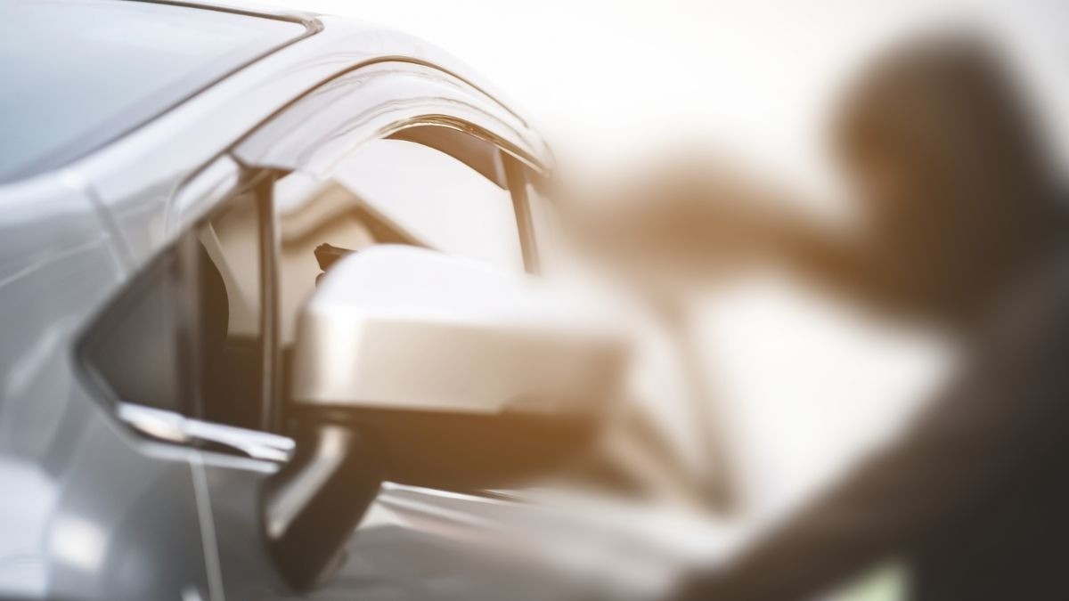 Robo de camioneta con pollos en León causa balacera, persecución, choque y un ladrón muerto