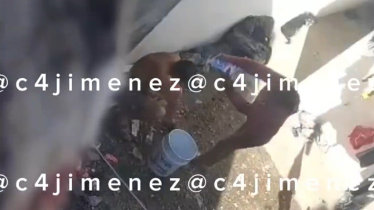 VIDEO Indigna maltrato de hombre que vive en el traspatio entre perros y suciedad