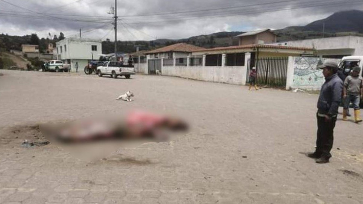 VIDEO Ladrones intentaron asaltar a mujer embarazada y vecinos los queman vivos