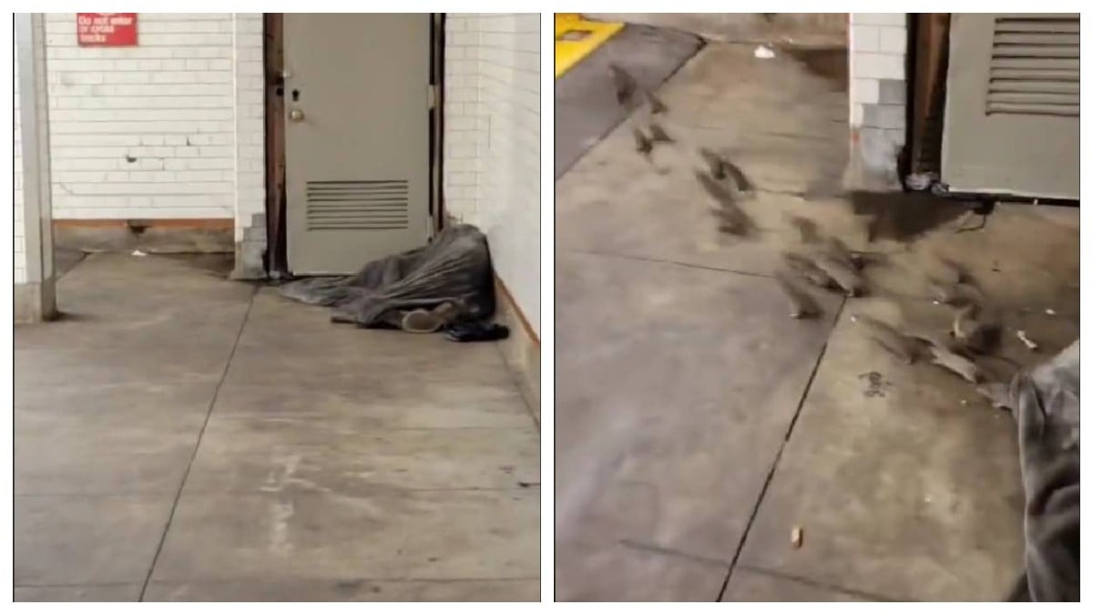 VIDEO Captan a vagabundo durmiendo en un nido de ratas en el Metro