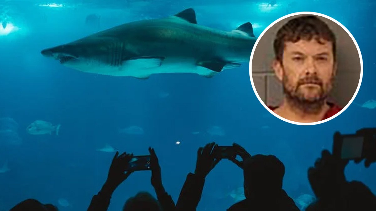 Hombre pierde el control y sin ropa se arroja a un acuario frente a los espectadores