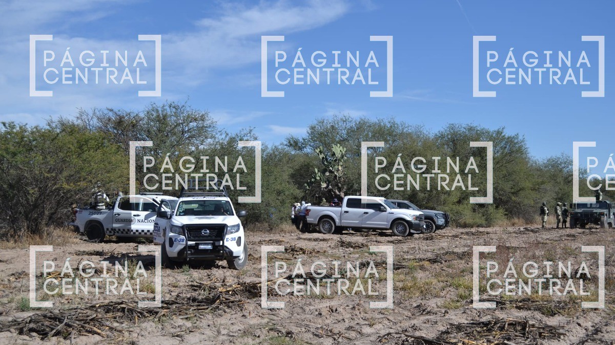 Célula Municipal de Búsqueda de León localizó a más de 260 personas con vida el año pasado