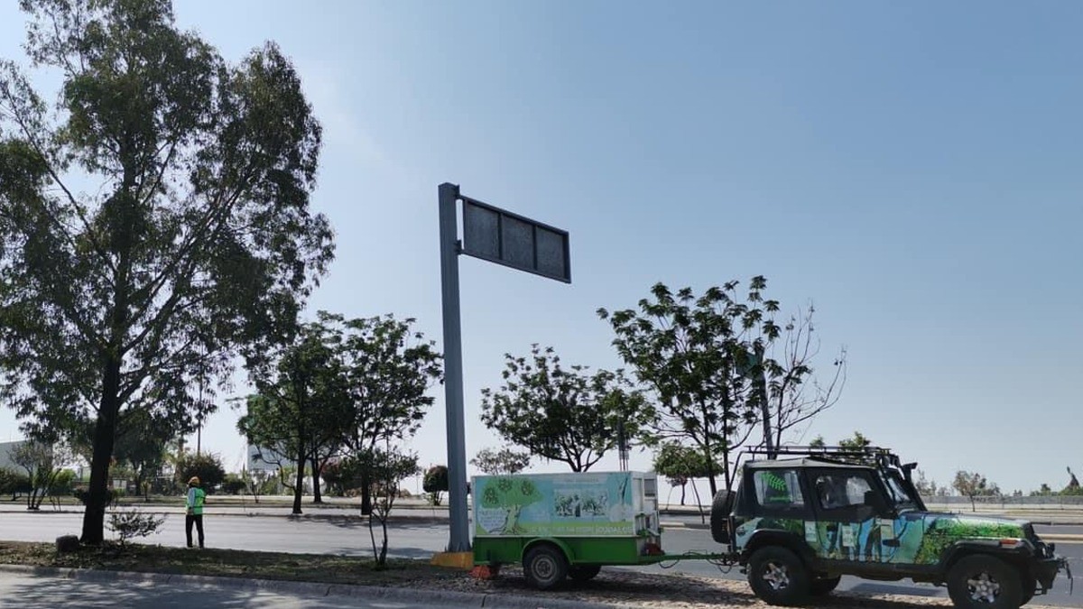 Trasplantarán 65 árboles por puente de Talabarteros; el Metropolitano será su ‘nueva casa’