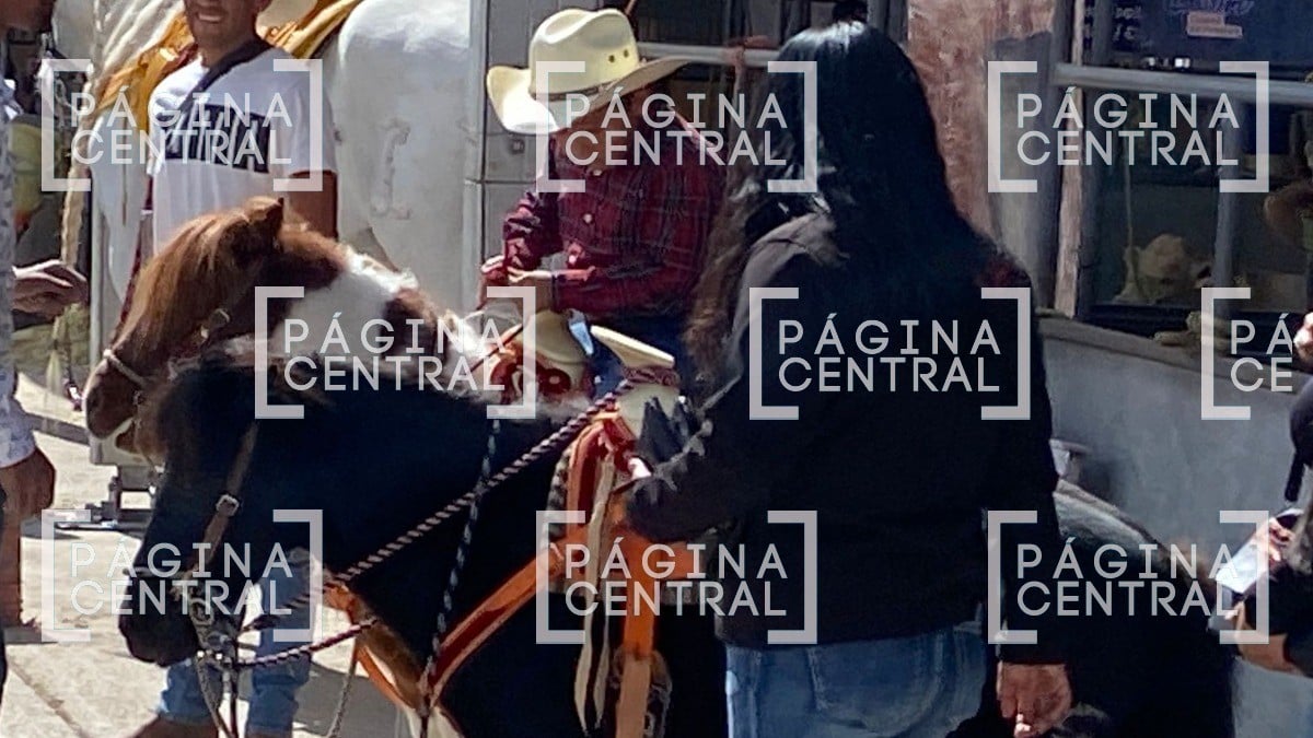 Llevan el ‘encanto’ del campo a la ciudad con la Feria Ganadera de León