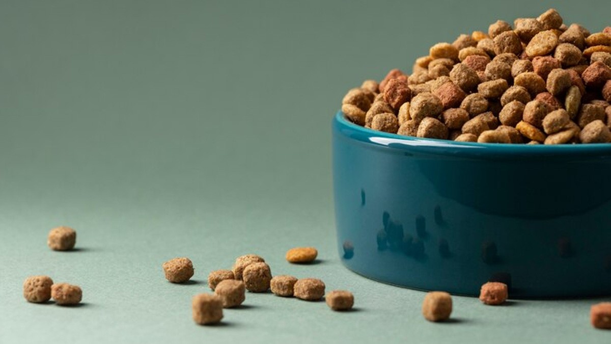 Dueños afirman que esta marca de croquetas enfermó y mató a sus perros