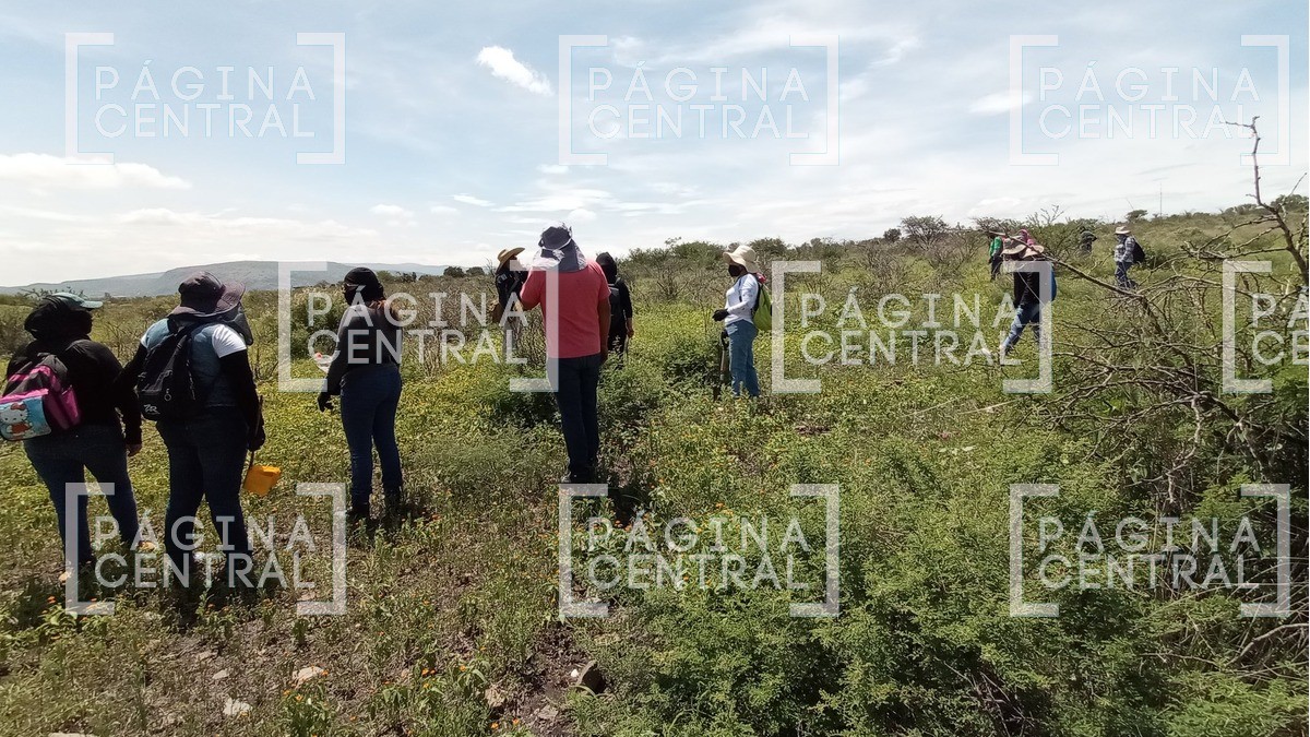 Amenazan e intimidan a buscadoras durante recorridos en León