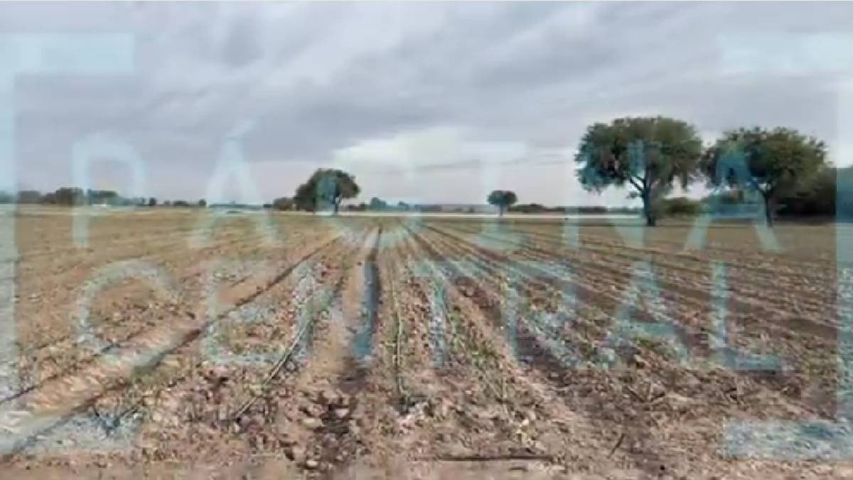 Hallan 2 cuerpos en Rancho Nuevo La Luz; investigan posible fosa