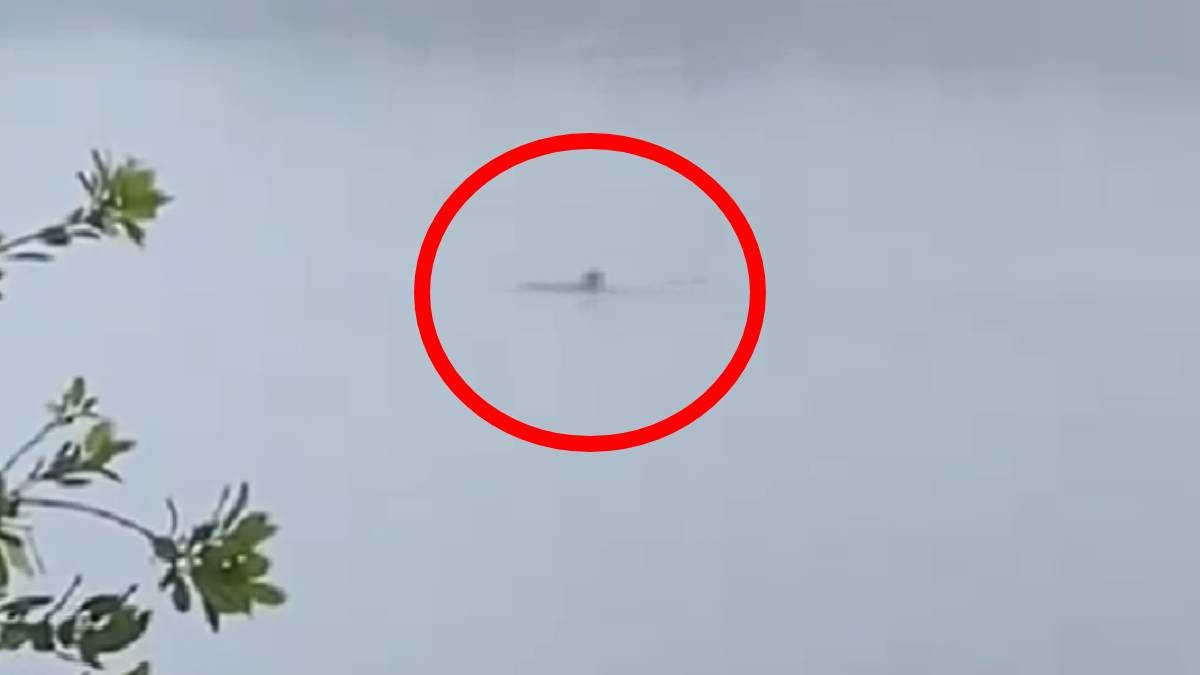 VIDEO Joven busca adrenalina y se mete a nadar a laguna con cocodrilo y le muerde la mano