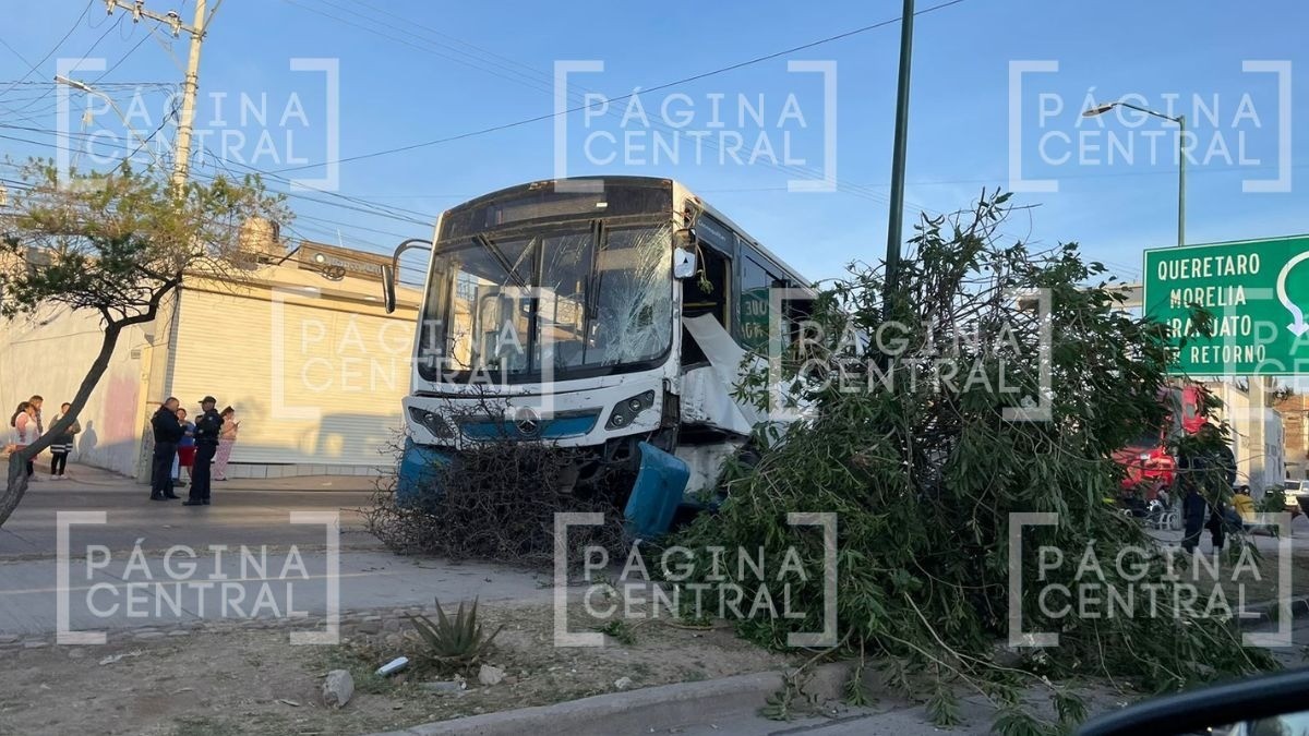 “Solo vio venir el tráiler hacia él“, chofer del urbano se salió por la ventanilla en el choque